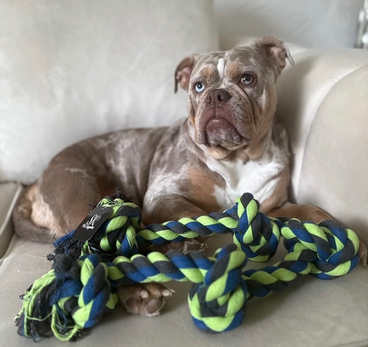 SK XL Mega Rope Toy Blue & Green - Image 3